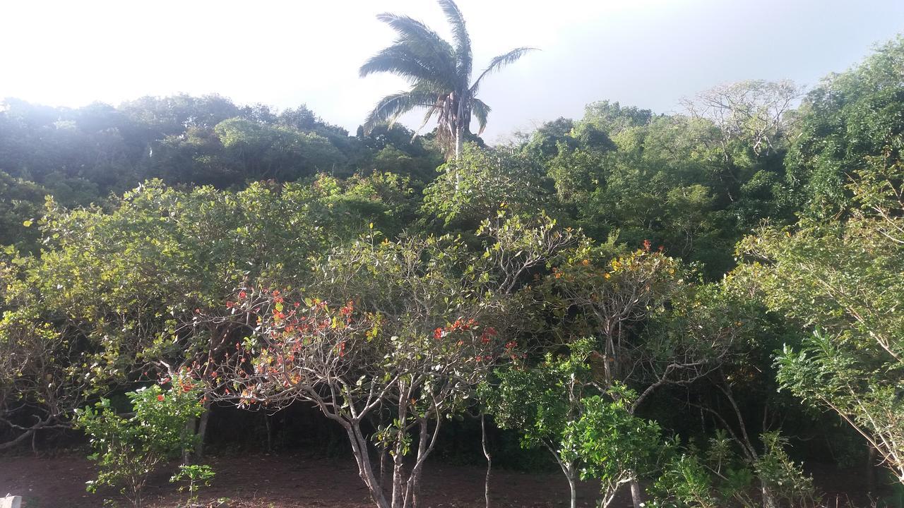 Refugio Na Serra Bananeiras Exteriér fotografie