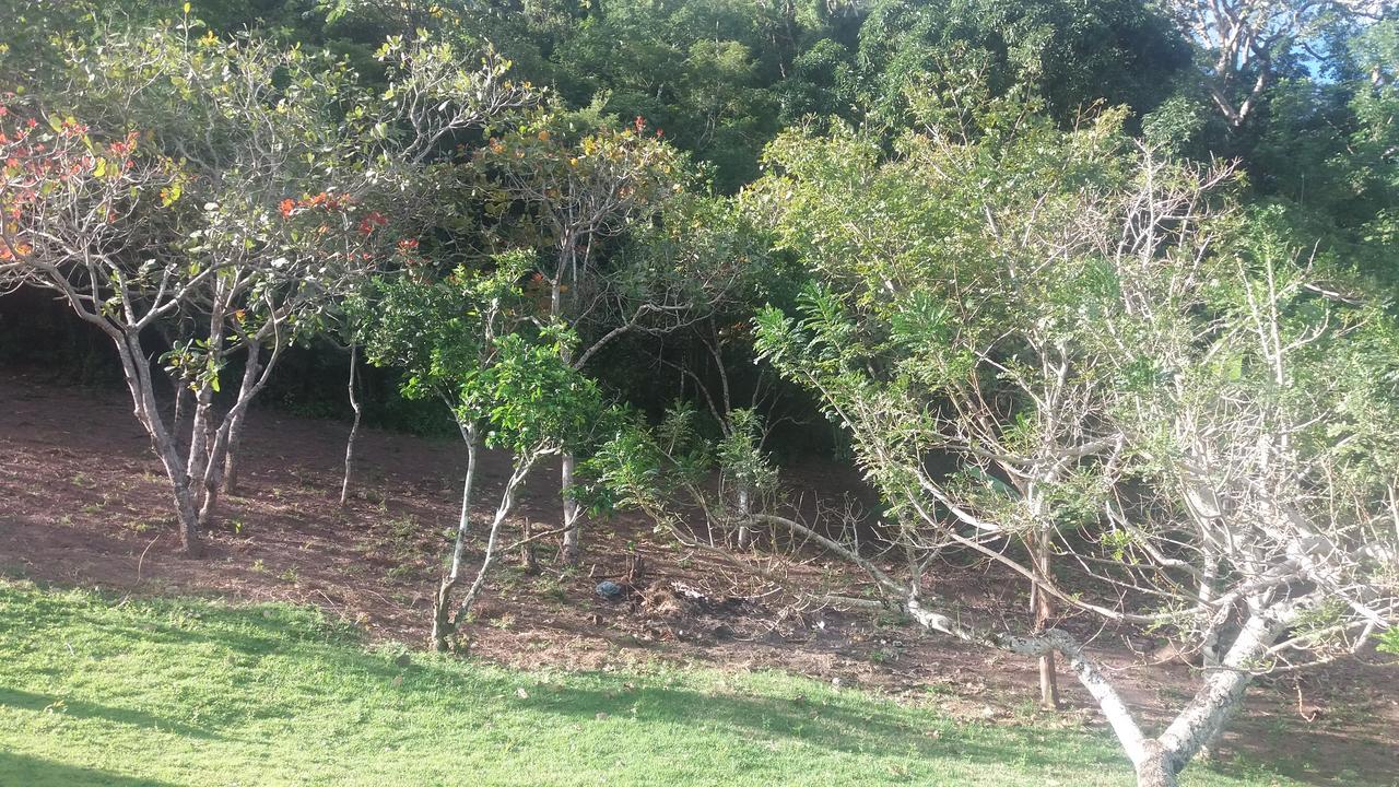 Refugio Na Serra Bananeiras Exteriér fotografie